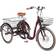 Evobike Elegant Tricycle Unisex