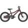 Scott Contessa 16 2022 Barncykel