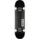 Globe Goodstock 8.125
