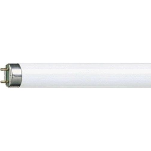 Philips Master TL-D Super 80 Fluorescent Lamp 18W G13