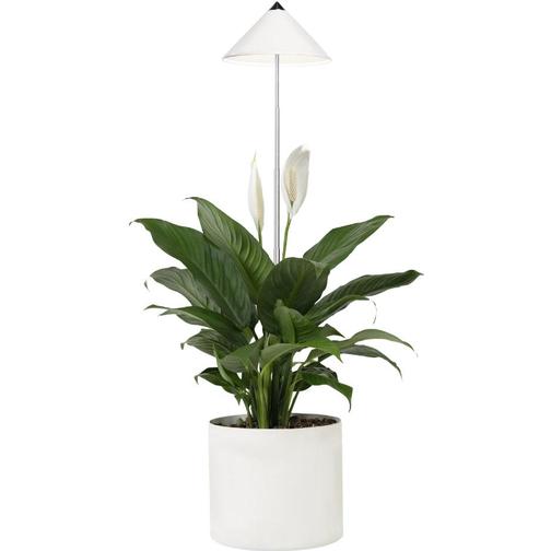 VENSO EcoSolutions Sunlite