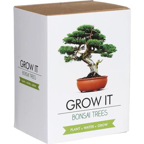 Gift Republic Grow It Kit Bonsai Trees