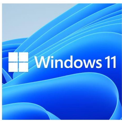 Microsoft Windows 11 Pro Eng (64-bit OEM)