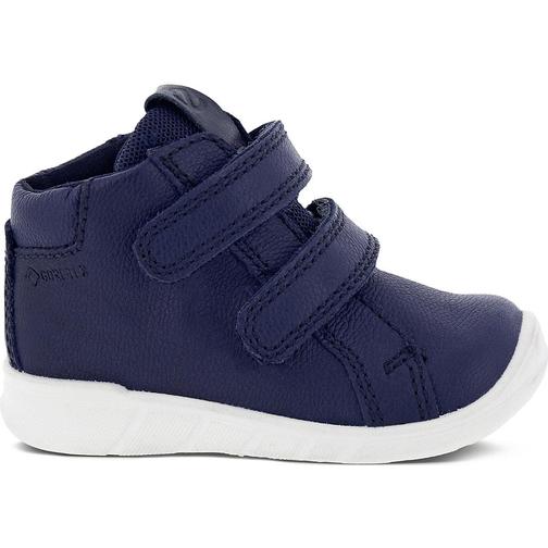 Ecco First - Night Sky