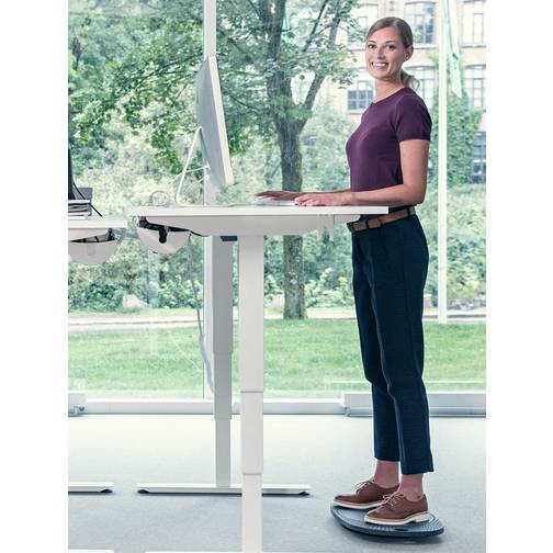 Backapp 360 Balance Board