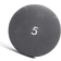 Abilica Medicine Ball 5kg