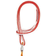 Petzl Rad System Kit