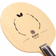 Butterfly Zhang Jike ZLC