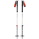 Black Diamond Expedition 2 Ski Poles 2014 - Ginger