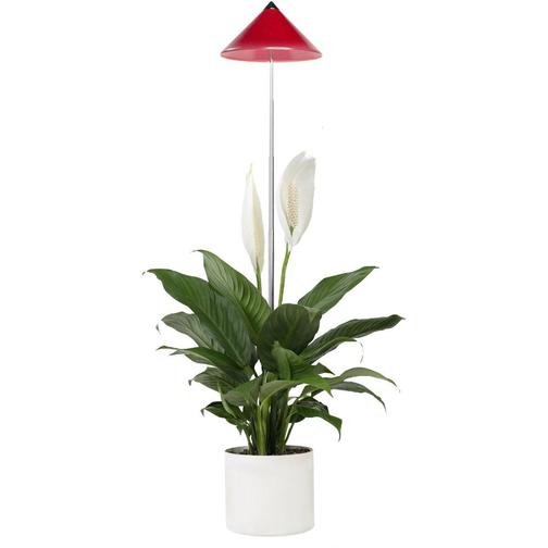 VENSO EcoSolutions Sunlite