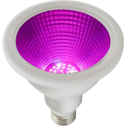 PR Home Grow Plantlights 12W E27