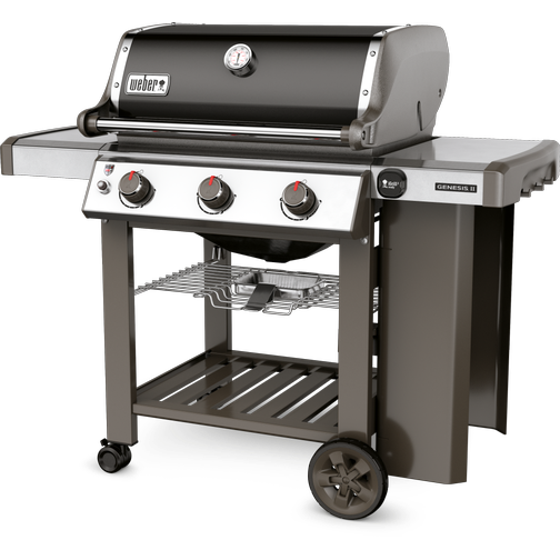 Weber Genesis II E-310 GBS