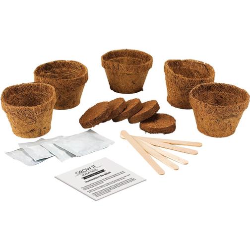 Gift Republic Grow It Kit Bonsai Trees