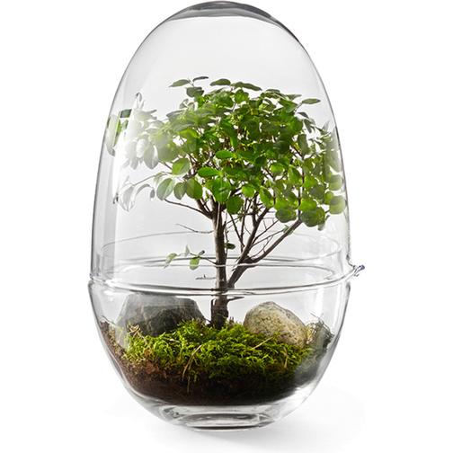 Design House Stockholm Grow Mini Greenhouse S Glas
