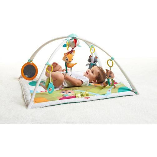 Tiny Love Into The Forest Gymini Deluxe