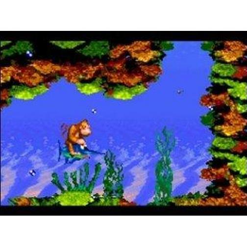 Donkey Kong Country (GBA)