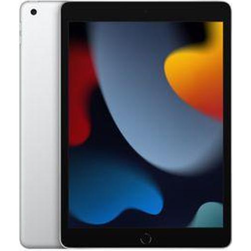 Apple iPad 256GB (2021)