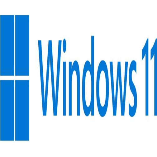 Microsoft Windows 11 Pro Eng (64-bit OEM)