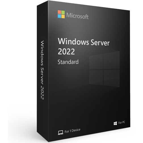 Microsoft Windows Server Standard 2022