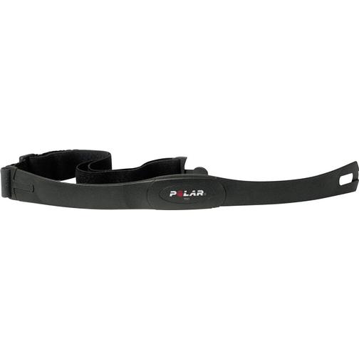 Polar T31