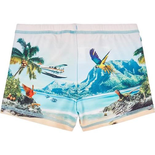 Molo Norton Placed - Welcome to Hawaii (8S21P307 7346)