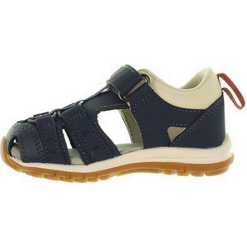 Kavat Tobo Tx - Blue