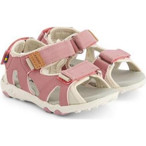 Kavat Rio TX - Ash Rose