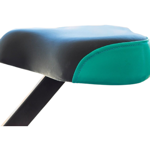 Cecotec Stationär cykel X-Bike