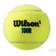 Wilson Tour Premier All Court - 4 bollar