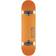Globe Goodstock 8.125