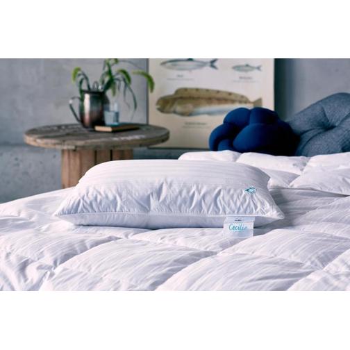 Engmo Dun Cecilia Medium Dunkudde (60x50cm)