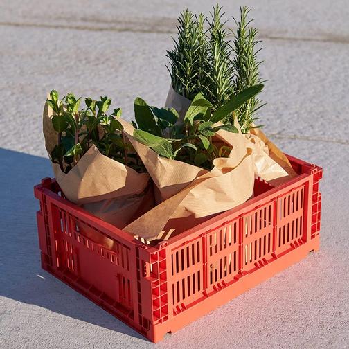 Hay Colour Crate M Förvaringslåda