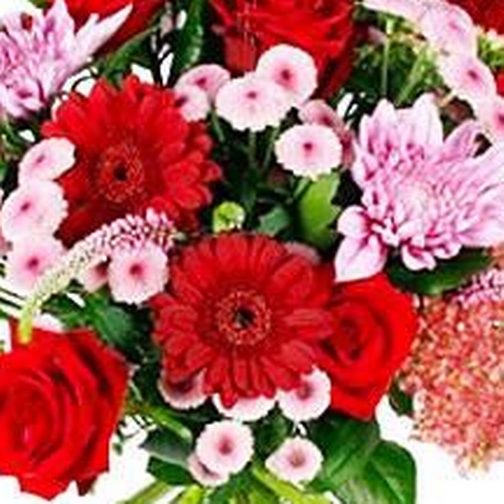 Kärleksblommor Sundown Blandade blommor 1