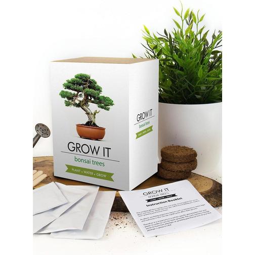 Gift Republic Grow It Kit Bonsai Trees