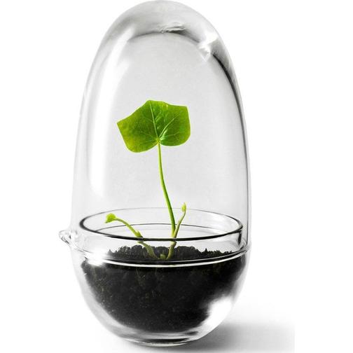 Design House Stockholm Grow Mini Greenhouse S Glas
