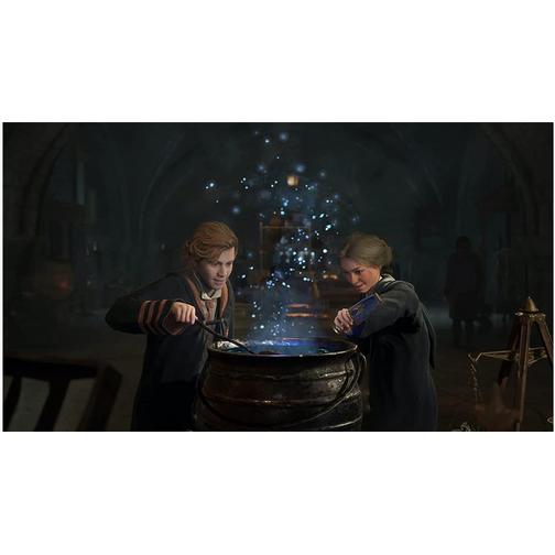 Hogwarts Legacy (Switch)