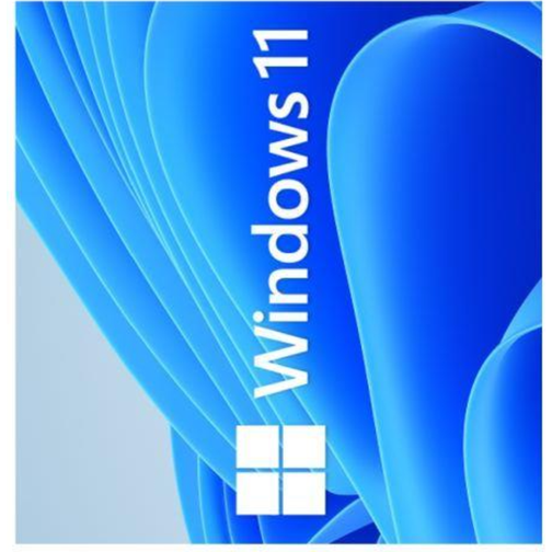 Microsoft Windows 11 Pro Eng (64-bit OEM)