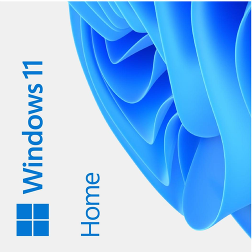 Microsoft Windows 11 Home Eng (64-bit OEM)
