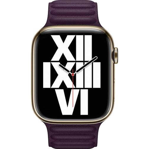 Apple 45mm Leather Link