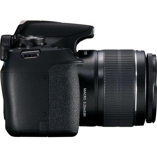 Canon EOS 2000D + EF-S 18-55mm F3.5-5.6 III