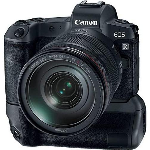 Canon BG-E22