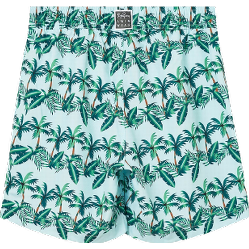 Björn Borg Borg Print Swim Shorts (10001638)
