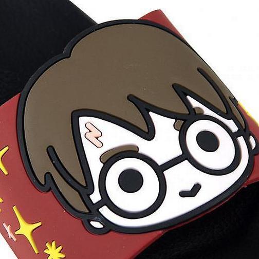 Cerda Harry Potter Pool - Black