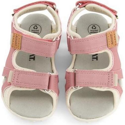 Kavat Rio TX - Ash Rose