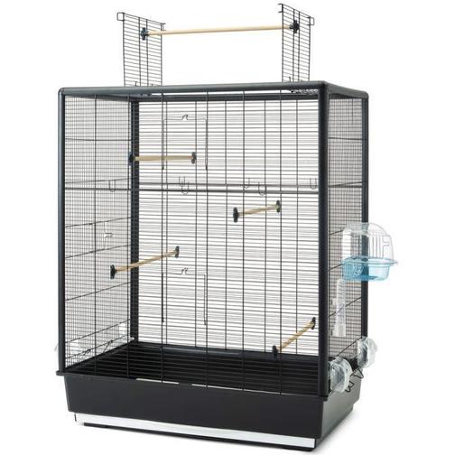 Savic Primo 60 Open Empire Bird Cage
