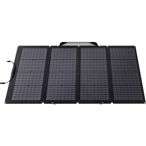 Ecoflow 666332 220W