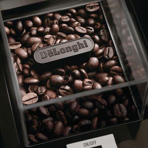 DeLonghi KG79