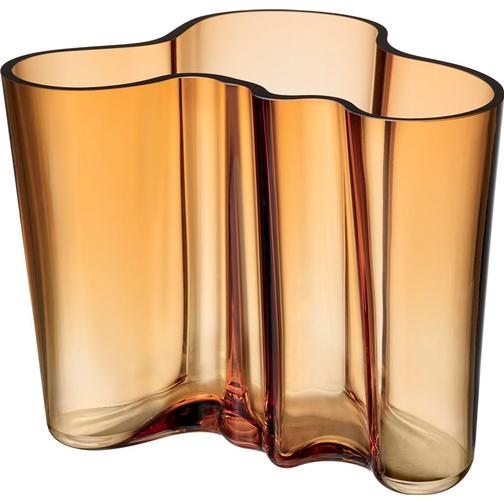 Iittala Alvar Aalto Vas 16cm