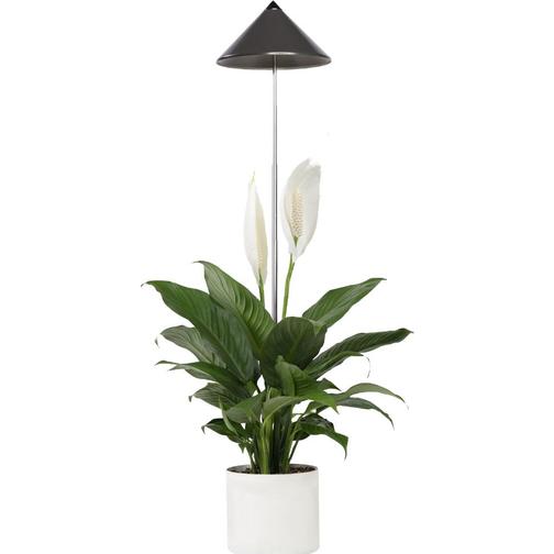 VENSO EcoSolutions Sunlite