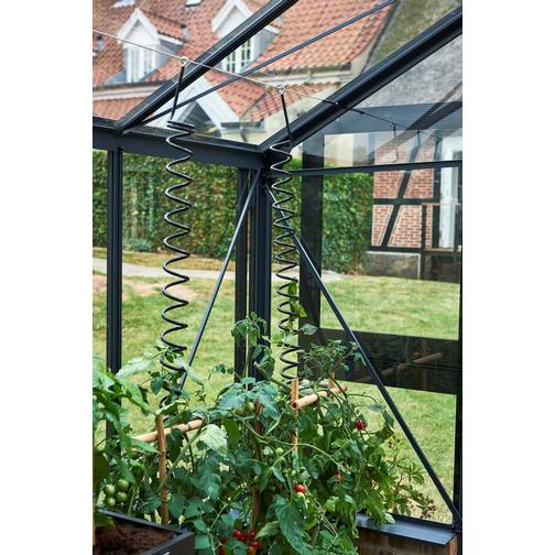 Juliana Plant Spiral 3-pack